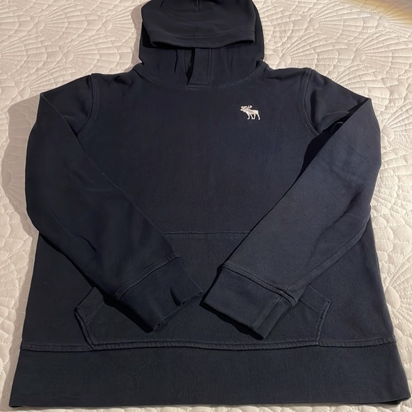 Abercrombie Kids Essential Icon Hoodie - size 13/14 - Picture 4 of 15